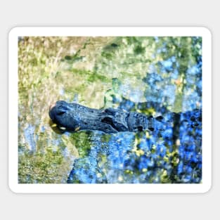 Monet Alligator Sticker